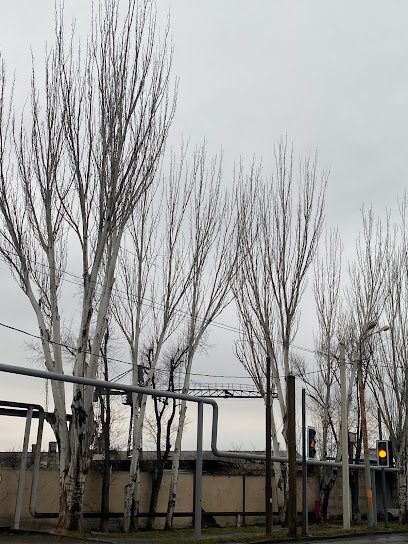 Համով խորոված — фото 1
